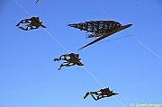 32 FESTIVAL CERVIA 2012 - 074
